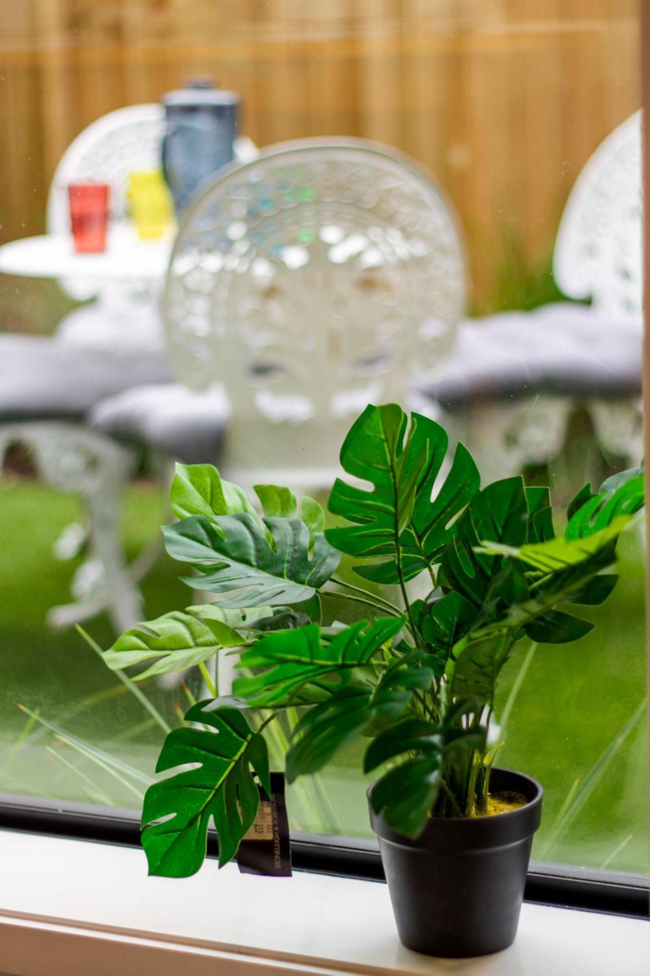 Gorgeous In Green - 2 Bed Central Oasis W/King Bed Christchurch Eksteriør billede